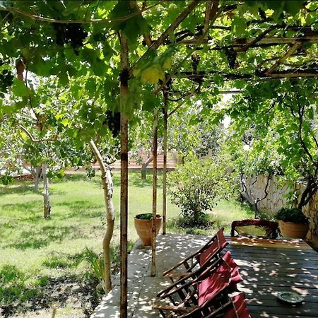 Villa Eleana 하니아 외부 사진