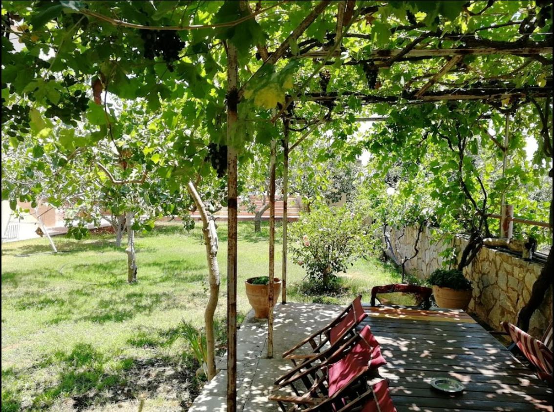 Villa Eleana 하니아 외부 사진